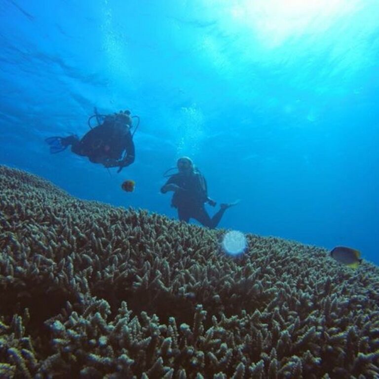Great Fun and Diving in Tulamben
