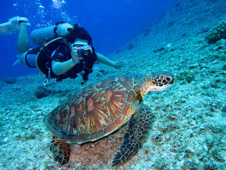 Perfect Place For Diving