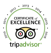 TripAdvisor Certificate